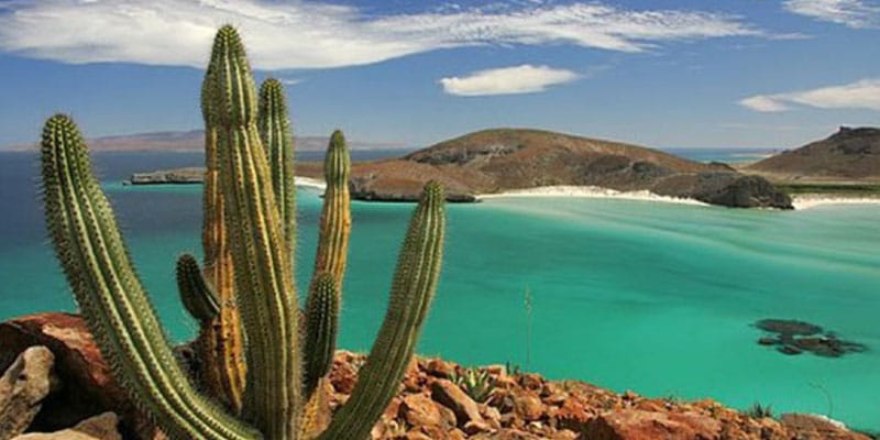 affordable Loreto Baja All-Inclusive Resort /images/resorts/loreto5.jpg
